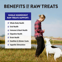 Northwest Naturals Raw Rewards Freeze-Dried Pork Heart Treats for Dogs and Cats - Bite-Sized Pieces - Healthy, 1 Ingredient, Human Grade Pet Food, All Natural, Proudly Made in USA