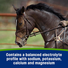Farnam Apple Elite Horse Electrolyte Paste – 60 cc