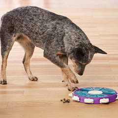Nina Ottosson Dog Twister Treat Puzzle Enrichment Toy, Level 3 Advanced, Purple