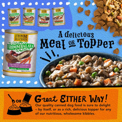 Fromm Frommbalaya Pork, Vegetable, & Rice Stew Dog Food - Premium Wet Dog Food - Pork Recipe - Case of 12 Cans