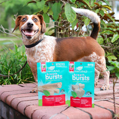 ARK NATURALS Breath Bursts Brushless Toothpaste, Dog Dental Sticks for Large Breeds, Unique Texture Helps Clean Teeth & Freshen Breath, Peppermint