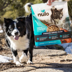 Nulo Freeze-Dried Raw Turkey & Salmon Recipe with Apples Complete and Balanced Dry Dog Food Kibble