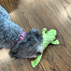 SKINNEEEZ EXTREME STUFFER FROG