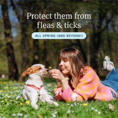 PetArmor Plus Flea and Tick Prevention for Dogs, Dog Flea and Tick Treatment, 3 Doses, Waterproof Topical, Fast Acting, X-Large Dogs (89-132 lbs)