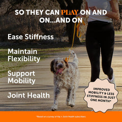 Pet Honesty Hip & Joint Health - Glucosamine for Dogs Soft Chews, Joint Supplement for Dogs with Glucosamine Chondroitin, MSM, Turmeric, Anti Inflammatory, Support + Mobility (Chicken 90ct)