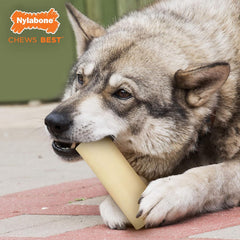 Nylabone Marrow Bone Alternative Power Chew Toy for Dogs, Dog Toys for Aggressive Chewers, Beef Flavor, Large