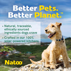 NATOO Dog Food Topper for Picky Eaters & Dog Treat (Salmon with Brown Rice), Dog Toppers for Dry Food, Wet Meal Toppers for Dogs & Puppies, Limited Ingredient Dog Food, 3 oz (Case of 20)