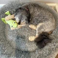 SKINNEEEZ EXTREME STUFFER FROG