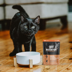 Go! Solutions Booster Immune Health, Grain-Free Wet Cat Food Topper , 2.5 oz Pouch