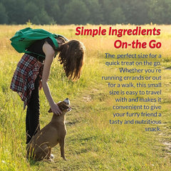 INABA Churu Meal Topper for Dogs, Complete & Balance, Creamy, Lickable Purée Dog Food Topper, 0.5 Ounce Tube, 24 Tubes (4 per Pack), Chicken with Pumkpin Recipe