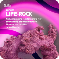 CaribSea LifeRock Arches - 20 lb Box with Four 12" Rocks - Natural Aragonite for Aquascaping, Supports Coral Growth & Ideal for Marine & Reef Tanks