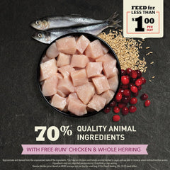 ACANA Dry Cat Food for Kittens, First Feast, Free Run Chicken and Whole Herring