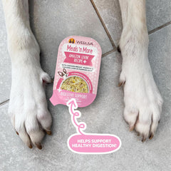 Weruva Meals 'n More Natural Wet Dog Food, Amazon Livin' Plus Digestive Support (Pack of 12)