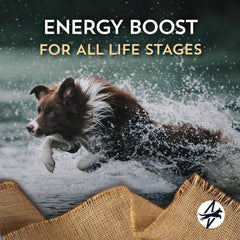 Wholesomes High Energy with Chicken Protein 26/18 Dry Food for Dogs & Puppies 40 lb