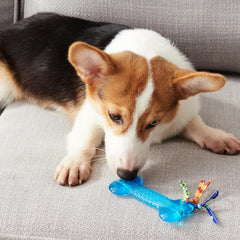 Petstages Orka Bone Royal Blue Dog Chew Toy