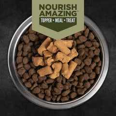 ORIJEN Tundra Freeze-Dried Epic Bites 6OZ