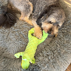 SKINNEEEZ EXTREME STUFFER FROG