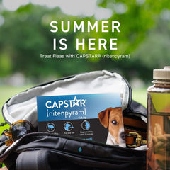 Capstar(nitenpyram) for Dogs Fast-Acting Oral Flea Treatment for Dogs 2-25 lbs, Vet-Recommended Medication Tablets Start Killing in 30 Minutes, 6 Doses