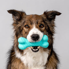 Playology Dual Layer Bone , All Natural Peanut Butter Scented