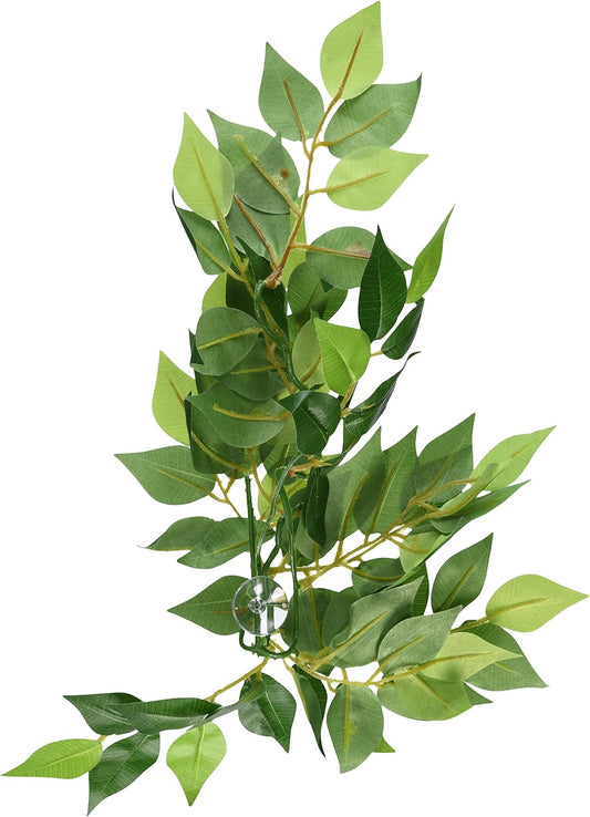 Exo Terra Silk Terrarium Plant, Small, Ficus