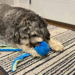 Skinneeez Extreme Stuffless Dog Toy with Squeaker | Extra Strong Plush Tug of War Octopus Squeak Toy for Small and Large Dog Breeds