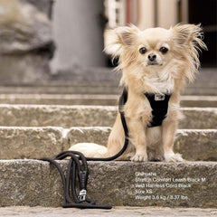 Curli Stretch Comfort Leash, Large