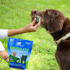 Ark Naturals® Brushless™ Toothpaste Dog Dental Chew
