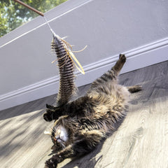 Petlinks Fly Wild Extendable (24") Wand Cat Toy - Brown, One Size