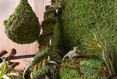 Galápagos (05254) Royal Clumps of Real Pillow, Natural