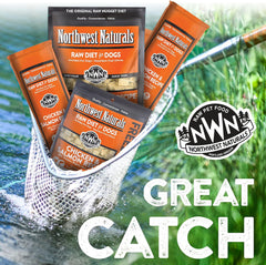 Northwest Naturals Freeze-Dried Chicken & Salmon Dog Food - Bite-Sized Nuggets - Grain-Free, High-Protein, Raw Diet, Human-Grade, Limited Ingredients, All Natural, Omega-3 for Skin & Coat