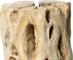 Galápagos (05271) Cholla Wood - Natural Aquarium & Terrarium Decoration for Fish Tanks, Reptile Tanks, and Bird Perches, Natural