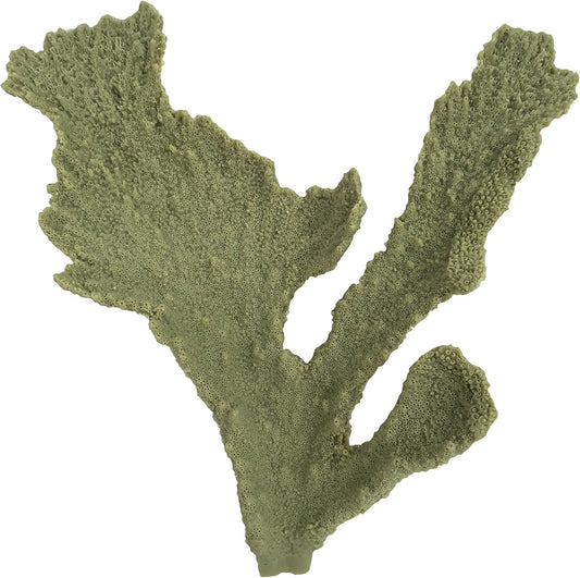 Weco 37777080: South Pacific Coral Elkhorn Ornament, Grey, Sm