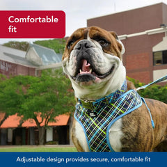 Coastal Pet - Ribbon - Adjustable Dog Collar with Metal Buckle, Red with Paws