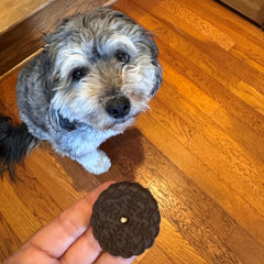 Exclusively Dog Carob & Vanilla Sandwich Cremes Cookies - All Natural Dog Treats, No Animal Byproducts, Baked in The USA, Ideal for Medium to Large Dogs - Vanilla and Carob Flavor, 8oz Bag