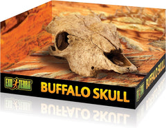 Exo Terra Buffalo Skull Terrarium D