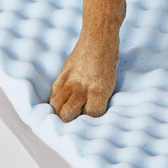 MidWest Homes for Pets Signature QuietTime® Memory Foam Dog Bed Sofa, Ideal for Small Dog Breeds