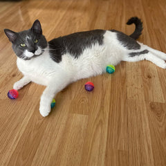 SPOT Shimmer Balls Cat Toys - Fun Balls with Rattle Sound are Perfect for Swatting and Batting, Colorful Toys to Entertain Cats and Kittens - Pack of Four 1.5in Balls, Assorted Colors 1 ea