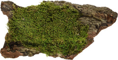 Galápagos Basking Bark, Sheet Moss, 1 Pc.