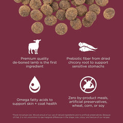 Go! Solutions Sensitivities Limited Ingredients, Grain-Free Dry Dog Food, Lamb Recipe for Sensitive Stomach