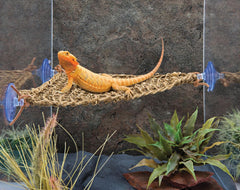 PENN-PLAX Reptology Lizard Lounger Corner Triangle – 100% Natural Seagrass Fiber – Great for Bearded Dragons, Anoles, Geckos, Iguanas, and Other Reptiles
