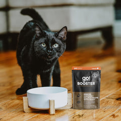Go! Solutions Booster Brain Health, Grain-Free Wet Cat Food Topper 2.5 oz Pouch (Pack of 24)