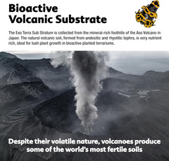 Exo Terra Sub Stratum, Bioactive Volcanic Substrate for Reptile Terrariums, Eliminates Odor, Offers Correct Moisture Levels