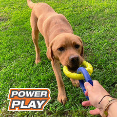 Nylabone Power Play Tug-a-Ball 2-in-1 Ball and Tug Toy, Play Toy for Dogs