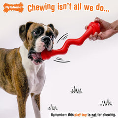 Nylabone Springa Interactive Dog Toy – Lightweight Flexible Floatable Dog Tug Toy for Creative Play & Dog Exercise