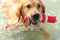 ROGZ Lighthouse Dog Fetch Toy, Large