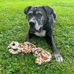 Skinneeez Tons-O-Squeakers Jungle Cat Dog Toy - 19 Squeakers for Tons-O-Fun! Stuffing-Free Design Perfect for Moderate Chewers, Tug Toy for Medium to Large Puppies & Dogs - 20in, Style May Vary