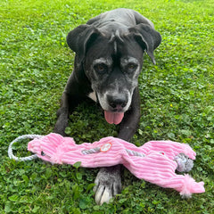 Skinneeez Barnyard Tug Dog Toy - Rope Design for Strong Chewers, Squeaker & Crinkle, Stuffing-Free, Tug Toy for Medium to Large Dogs & Puppies