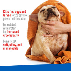 Plus Flea & Tick Foaming Shampoo & Wash for Dogs & Puppies Over 12 Weeks | Sensitive Skin Flea Treatment for Dogs and Puppies | Kills Adult Fleas, Ticks, and Lice On Contact | 10 Oz