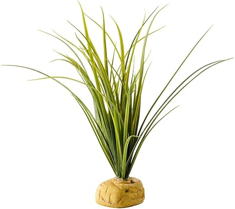 Exo Terra Turtle Grass Terrarium Plant