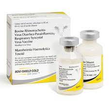 Zoetis 2645015C Bovi Shield Gold One Shot-10 dose 1  EA